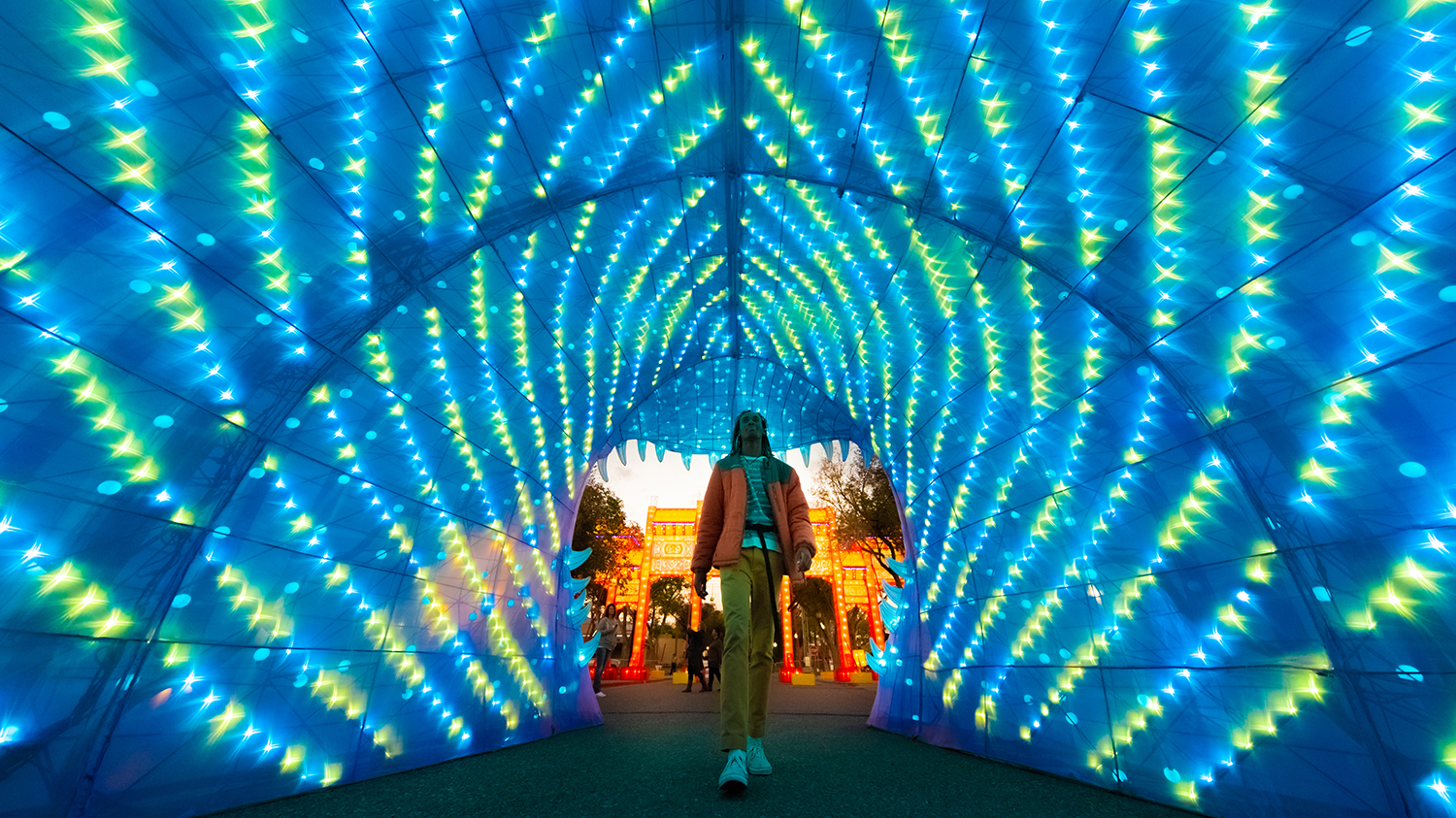 Dwan Light Sanctuary The Lobo Life