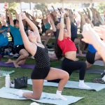 A large group of people do yoga in a park.