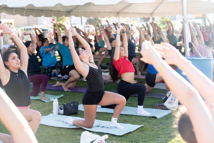 A large group of people do a yoga pose on their mats in the park.