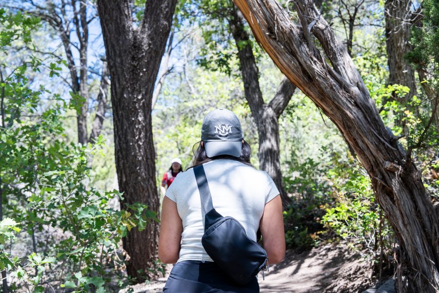 A student hikes through a sunny wooded area with a backwards UNM hat on.